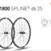 DT Swiss G1800 tubeless disc wheel set - Image 2